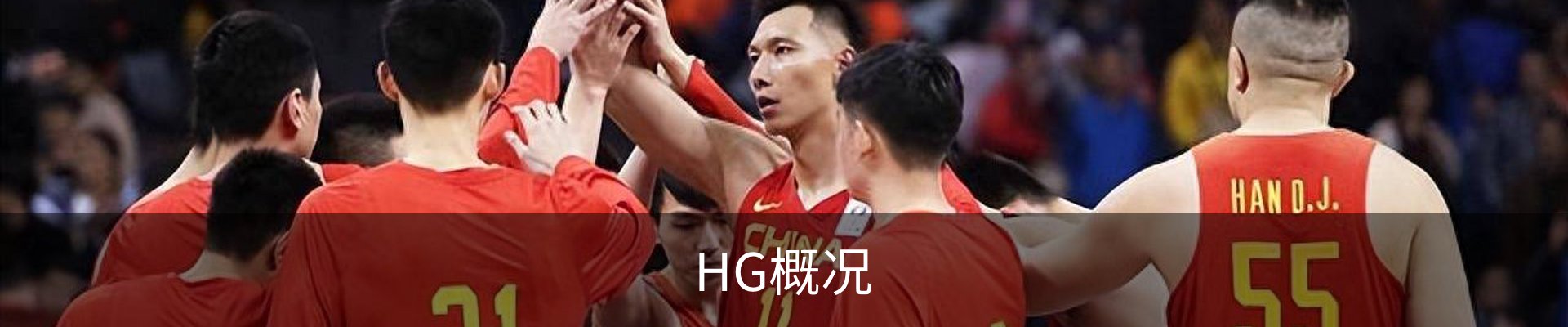 HG概况